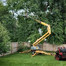 Best Landscape Design and Installation  in Golden Glades, FL