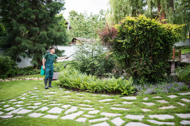 Landscape Design and Installation in Golden Glades, FL
