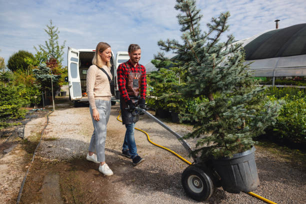 Best Pest Control for Lawns  in Golden Glades, FL